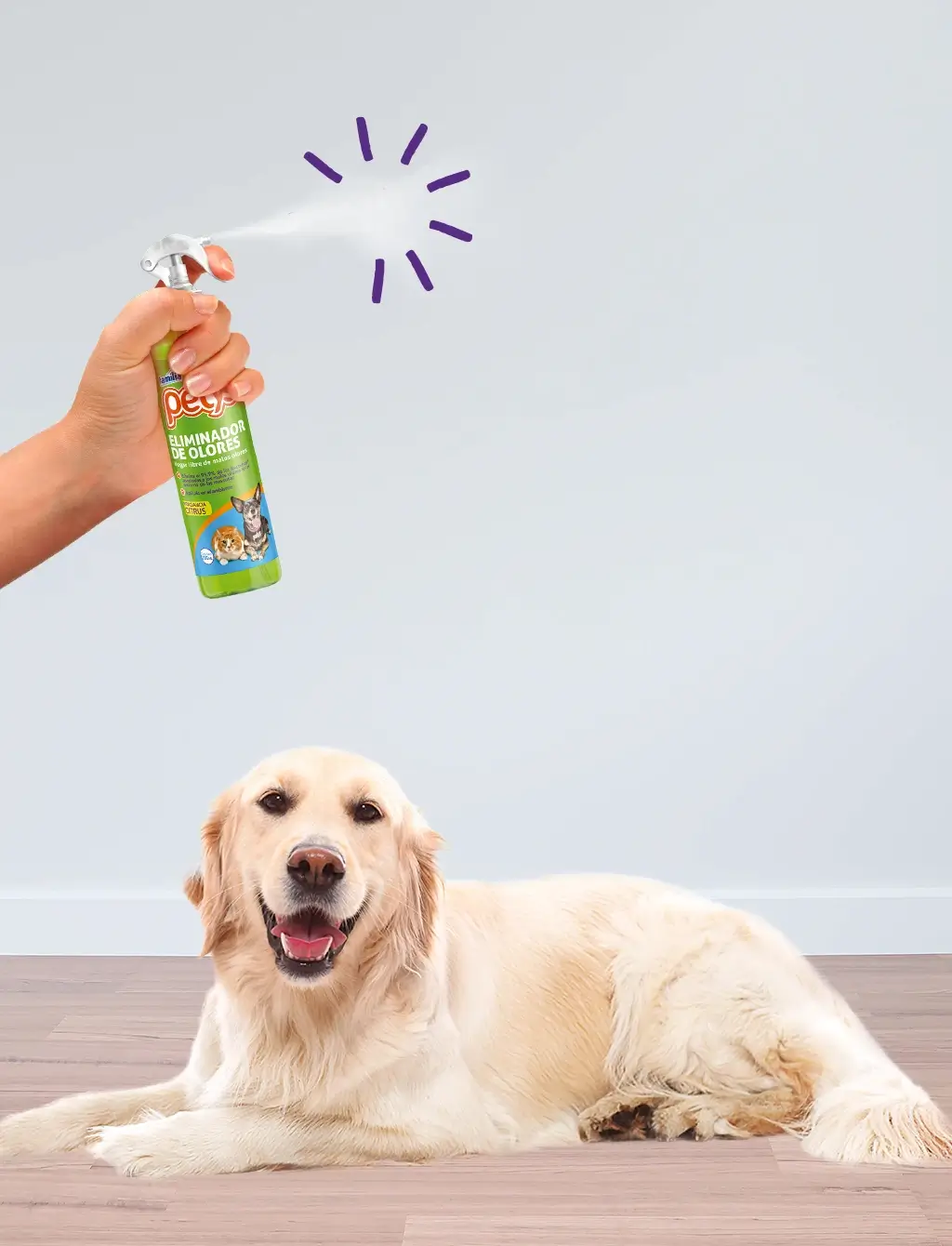 Elimina el olor a orina de tus mascotas con Eliminador de olores Petys