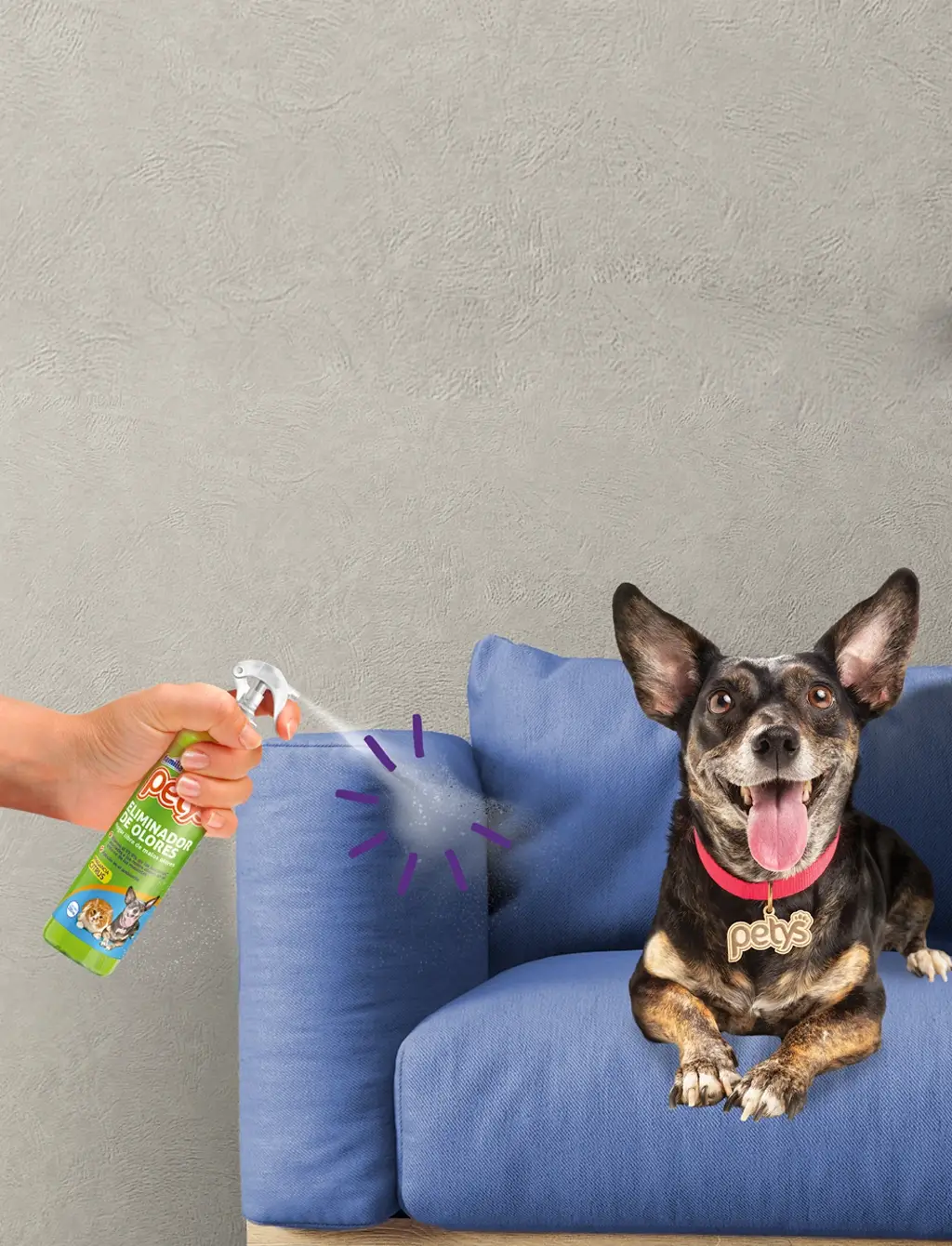 Más productos Petys para cuidar a tus mascotas